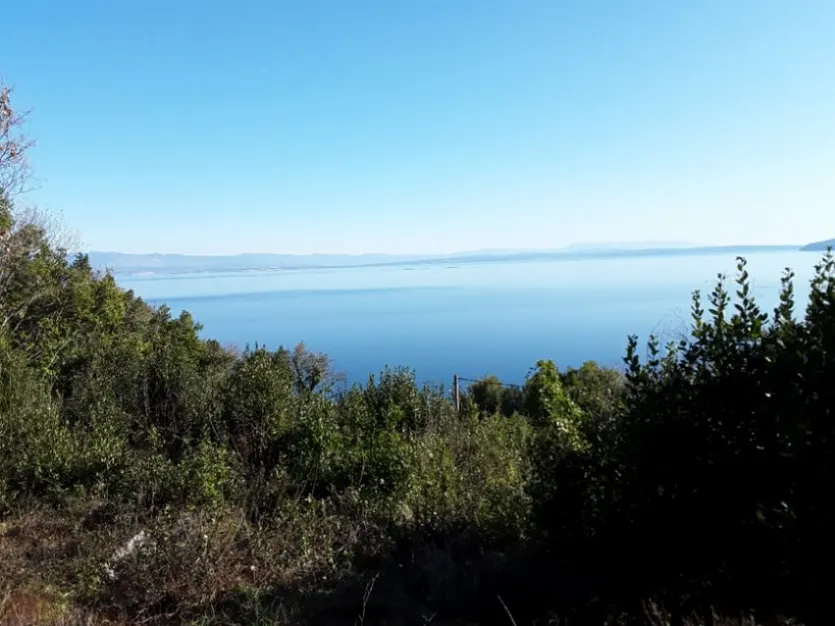 Zemljište na Super Lokaciji Blizu Medveje