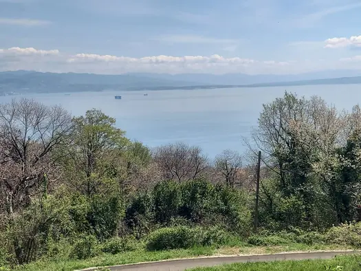 Zemljišta